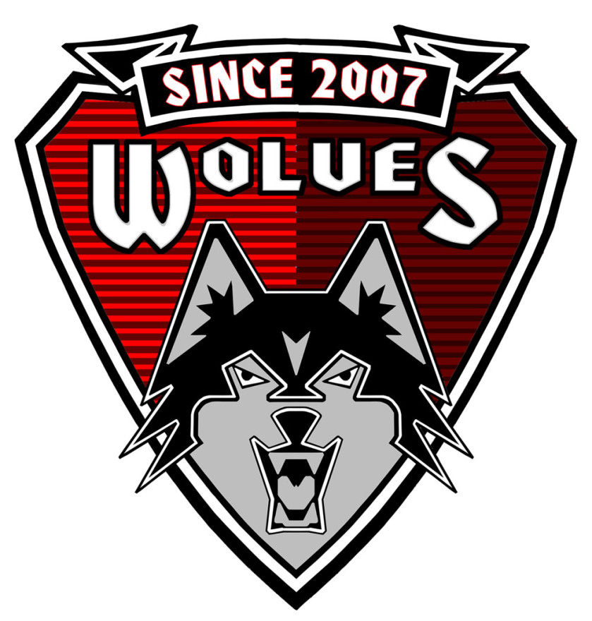 10th Anniversary of WIS Wolves – Alumni Event – WIS Wrocław ...